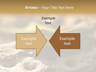 Beach Portrait Sunrise PowerPoint Template