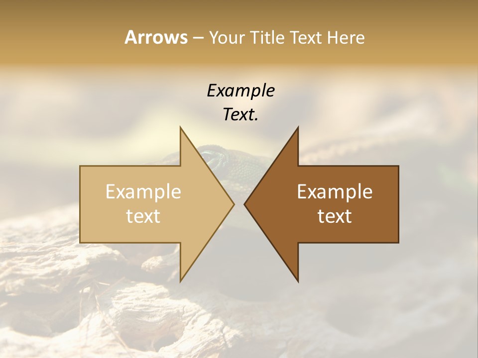 Beach Portrait Sunrise PowerPoint Template