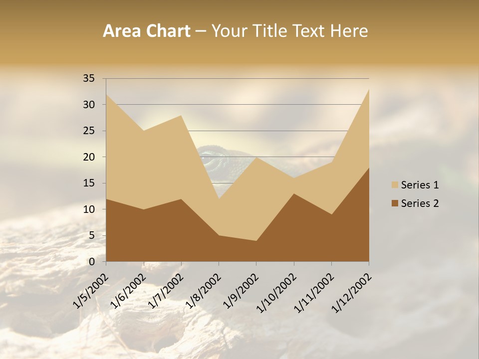 Beach Portrait Sunrise PowerPoint Template