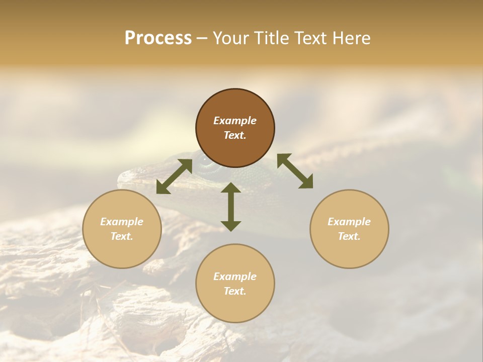 Beach Portrait Sunrise PowerPoint Template