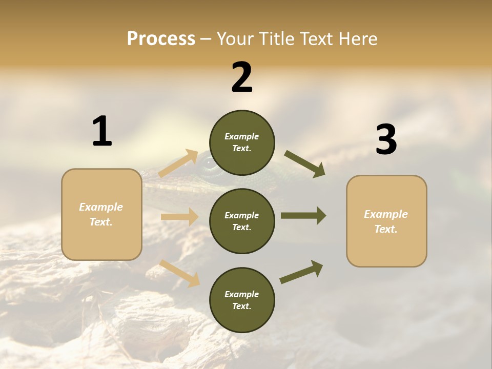 Beach Portrait Sunrise PowerPoint Template