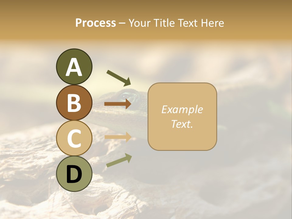 Beach Portrait Sunrise PowerPoint Template