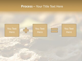 Beach Portrait Sunrise PowerPoint Template