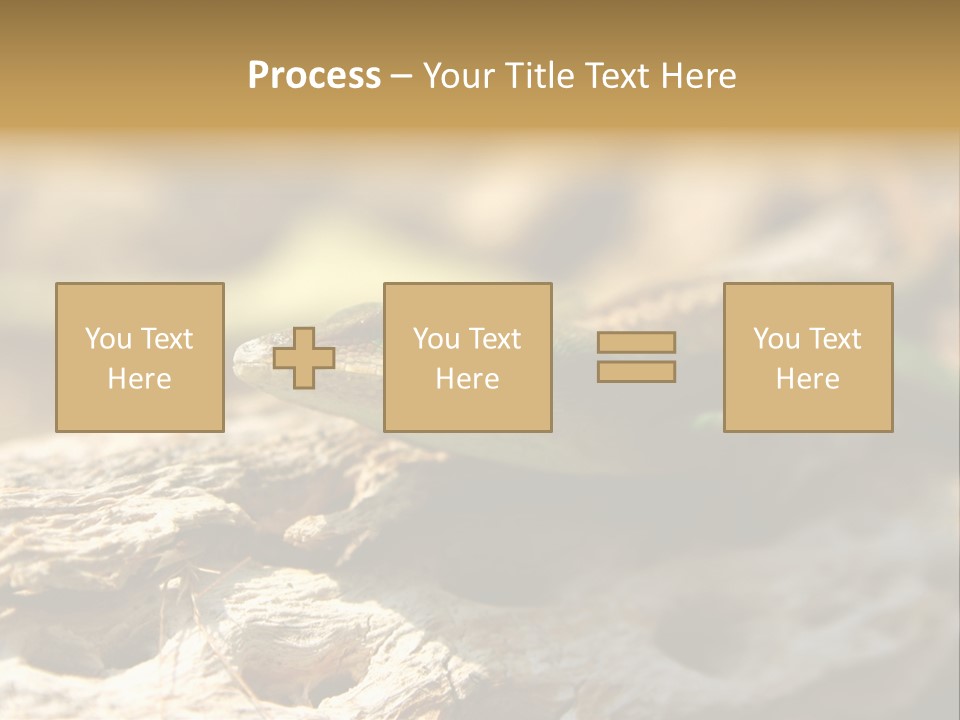 Beach Portrait Sunrise PowerPoint Template
