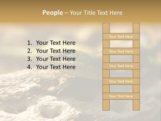 Beach Portrait Sunrise PowerPoint Template