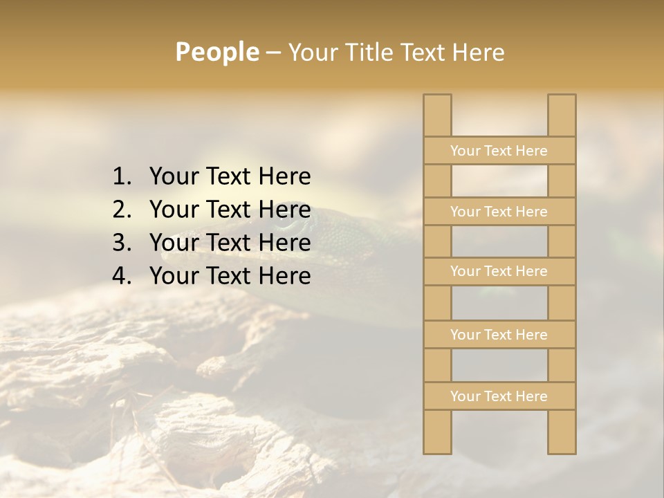 Beach Portrait Sunrise PowerPoint Template