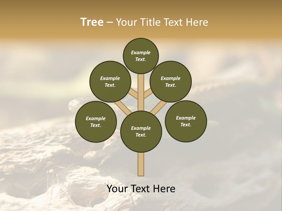 Beach Portrait Sunrise PowerPoint Template