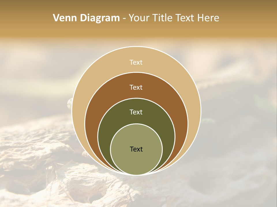 Beach Portrait Sunrise PowerPoint Template