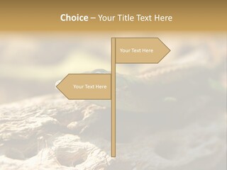 Beach Portrait Sunrise PowerPoint Template