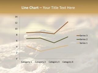 Beach Portrait Sunrise PowerPoint Template