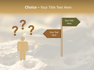 Beach Portrait Sunrise PowerPoint Template