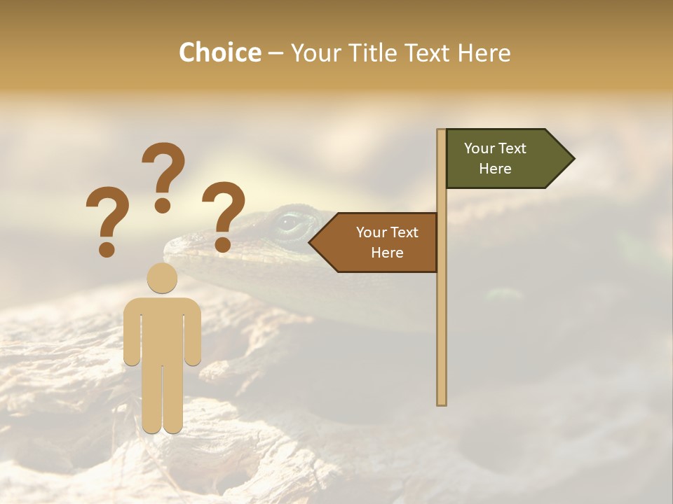 Beach Portrait Sunrise PowerPoint Template