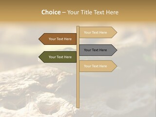 Beach Portrait Sunrise PowerPoint Template