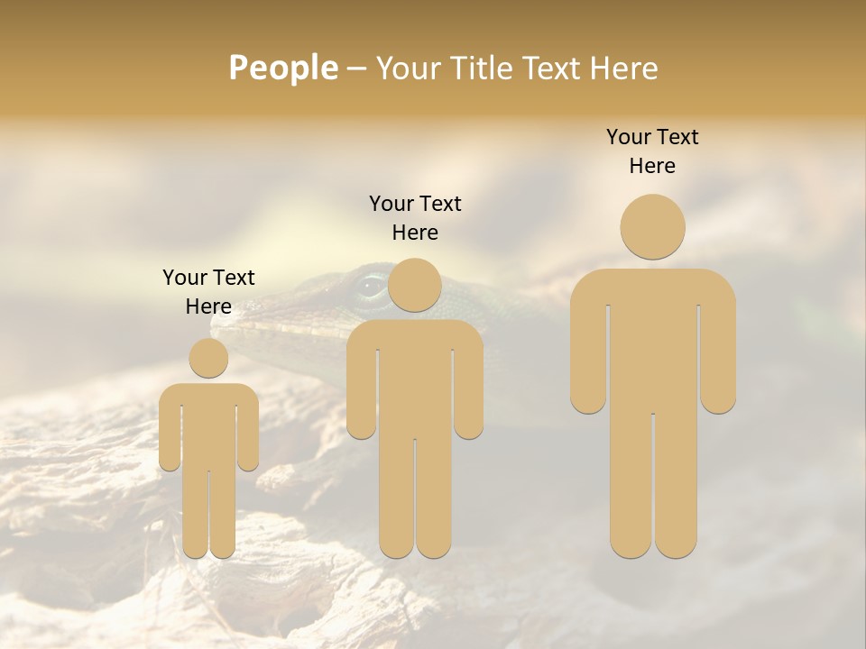 Beach Portrait Sunrise PowerPoint Template