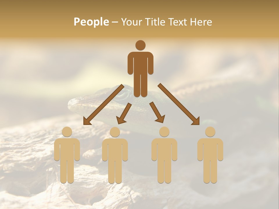 Beach Portrait Sunrise PowerPoint Template