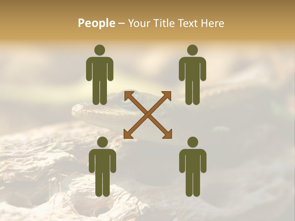 Beach Portrait Sunrise PowerPoint Template