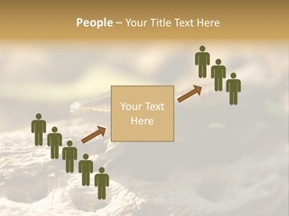 Beach Portrait Sunrise PowerPoint Template