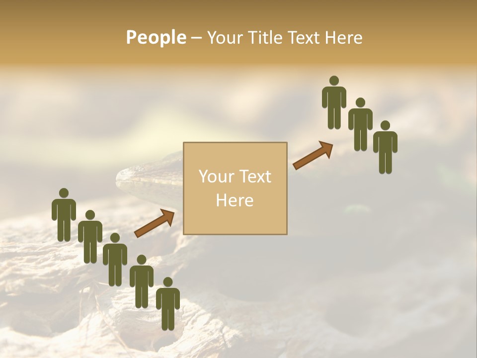 Beach Portrait Sunrise PowerPoint Template