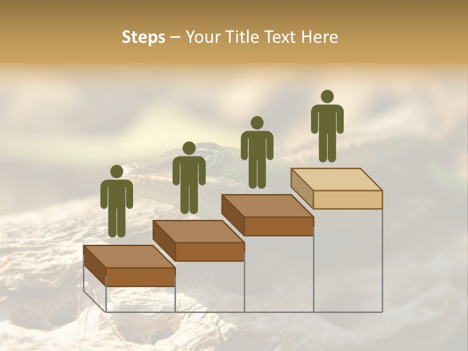 Beach Portrait Sunrise PowerPoint Template