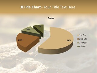Beach Portrait Sunrise PowerPoint Template