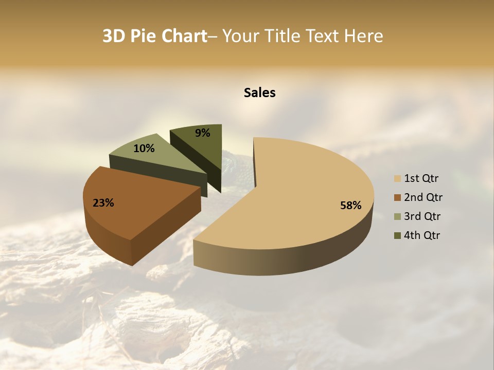 Beach Portrait Sunrise PowerPoint Template