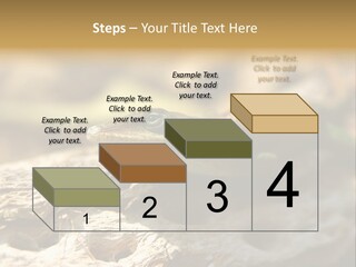 Beach Portrait Sunrise PowerPoint Template