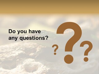 Beach Portrait Sunrise PowerPoint Template