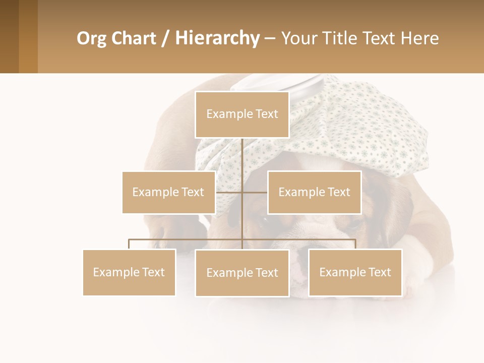 Sad Peaceful Coastal PowerPoint Template
