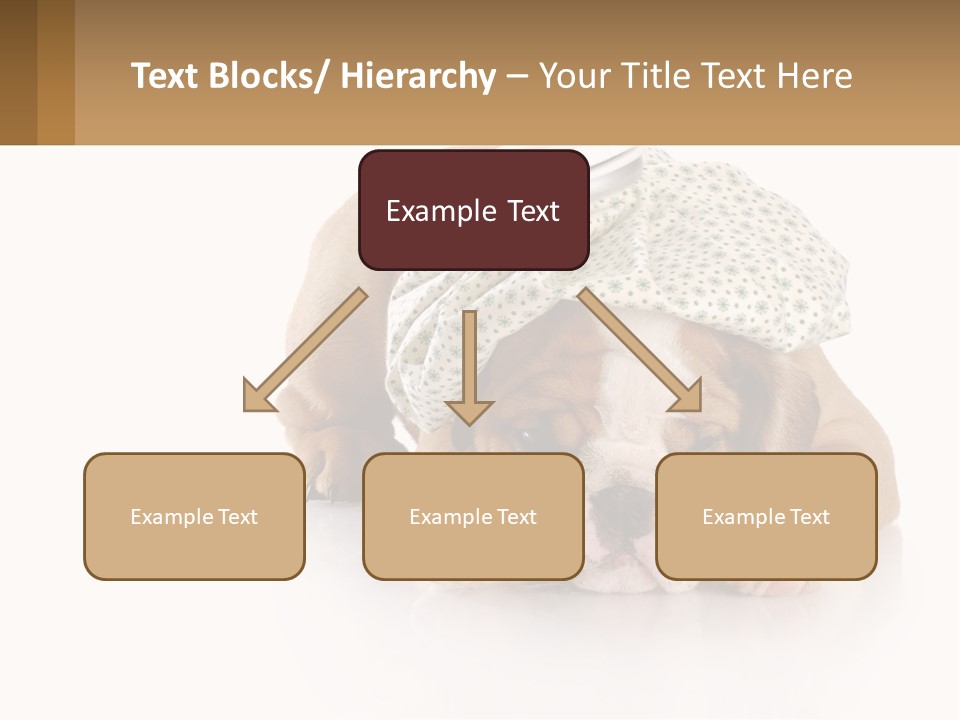 Sad Peaceful Coastal PowerPoint Template