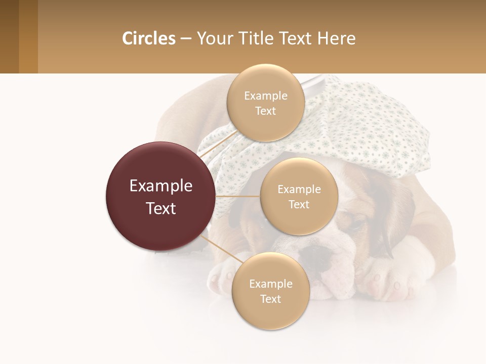 Sad Peaceful Coastal PowerPoint Template