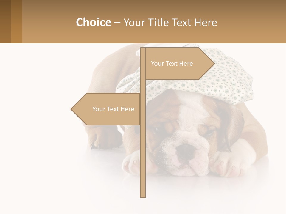 Sad Peaceful Coastal PowerPoint Template