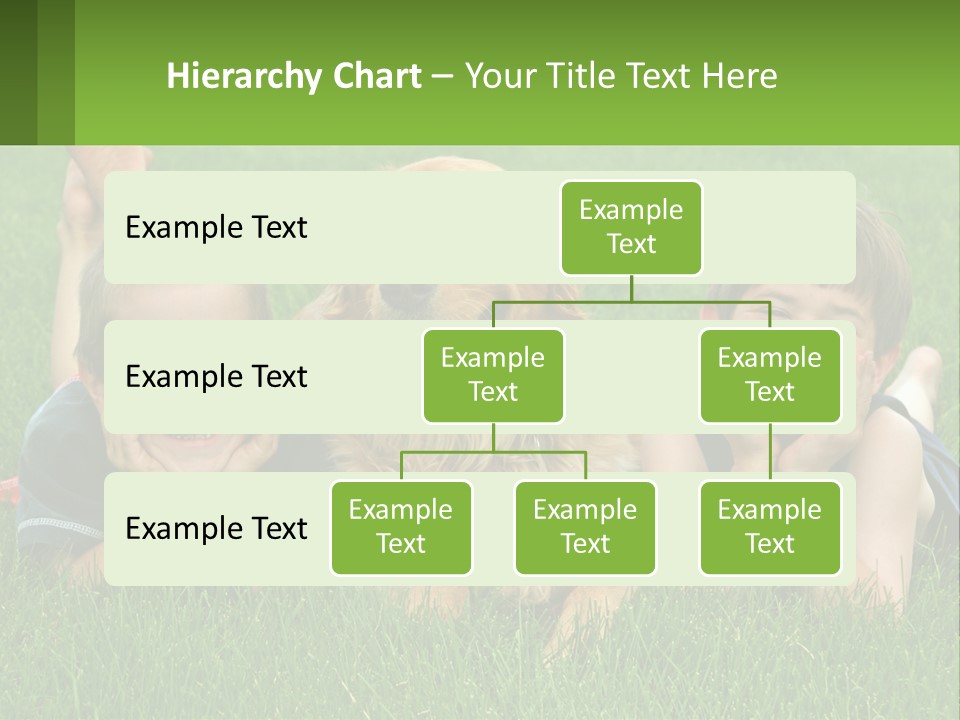 Sand Wellness Retired PowerPoint Template