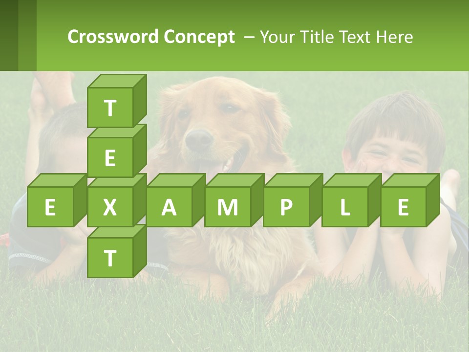 Sand Wellness Retired PowerPoint Template