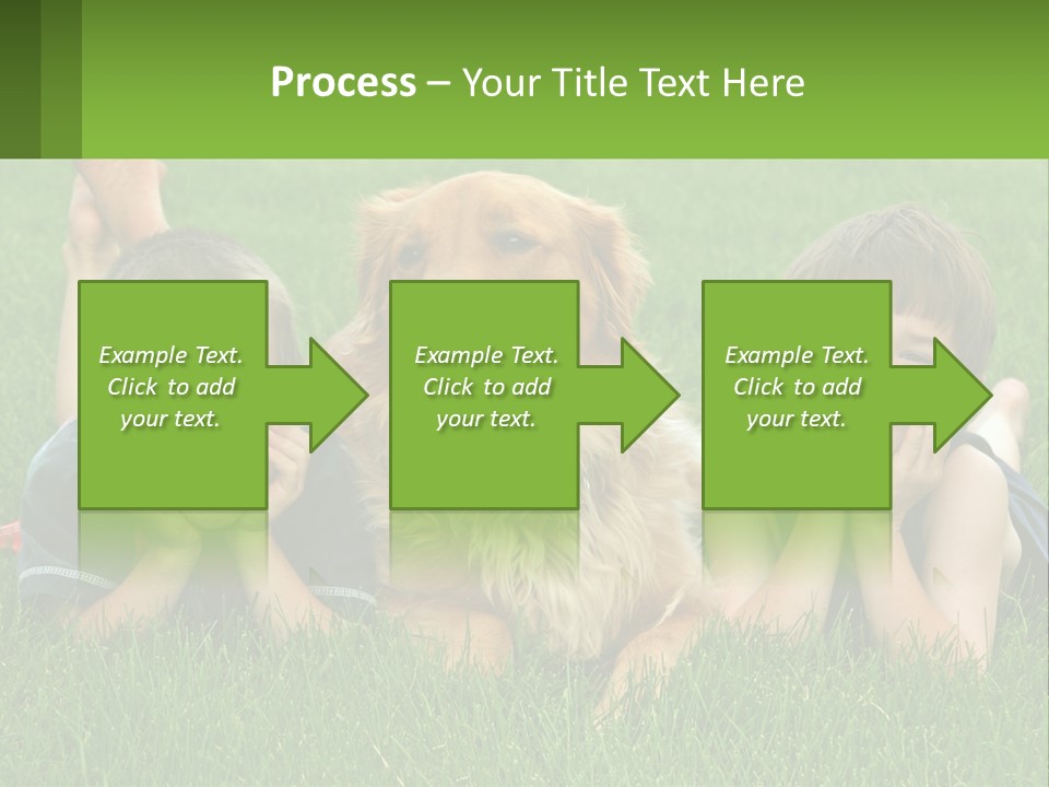 Sand Wellness Retired PowerPoint Template