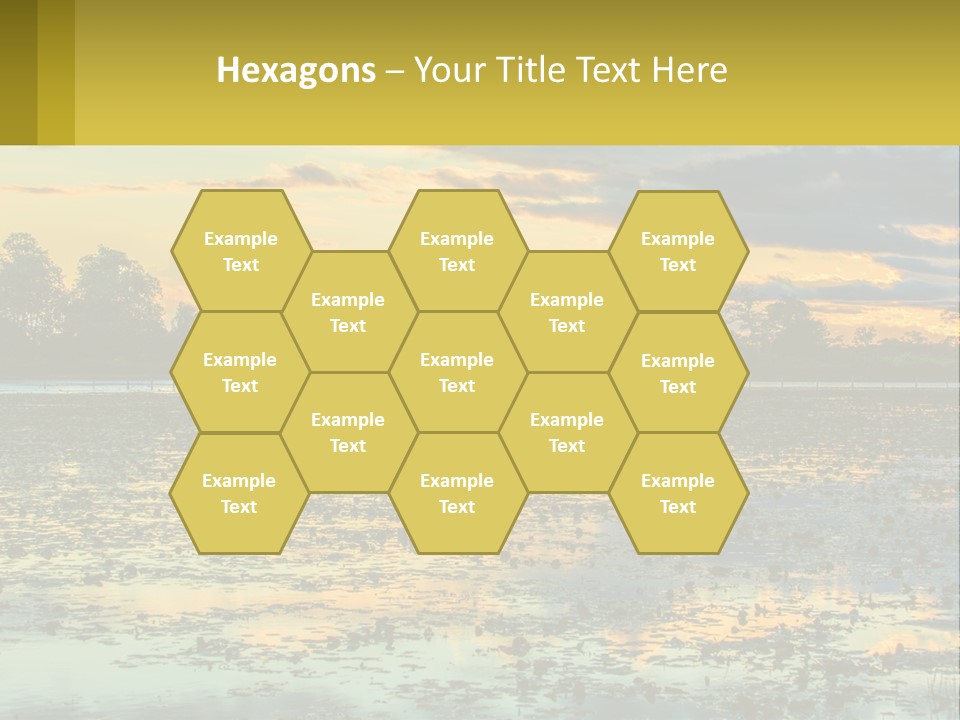 Older Sea Wellness PowerPoint Template