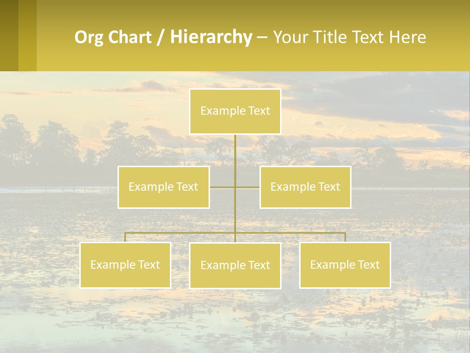 Older Sea Wellness PowerPoint Template