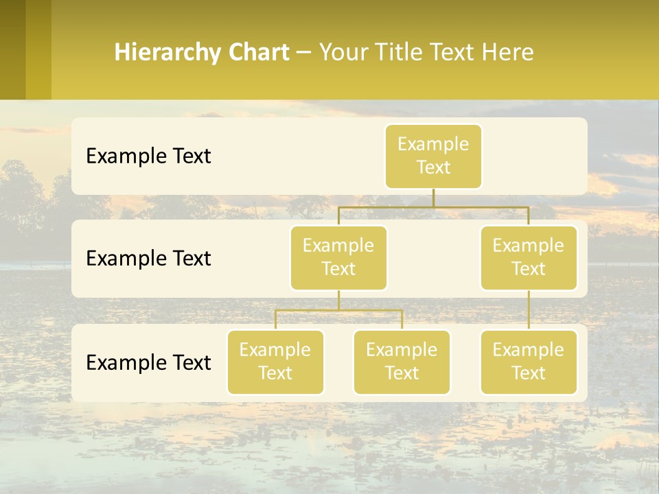 Older Sea Wellness PowerPoint Template