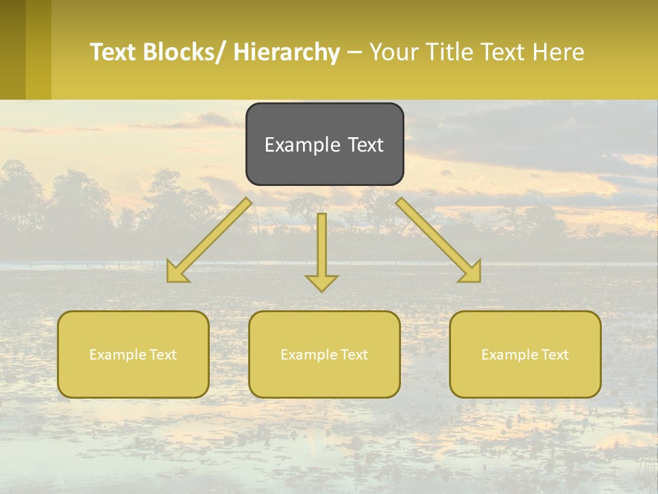 Older Sea Wellness PowerPoint Template