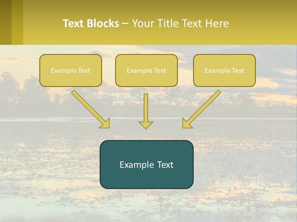 Older Sea Wellness PowerPoint Template