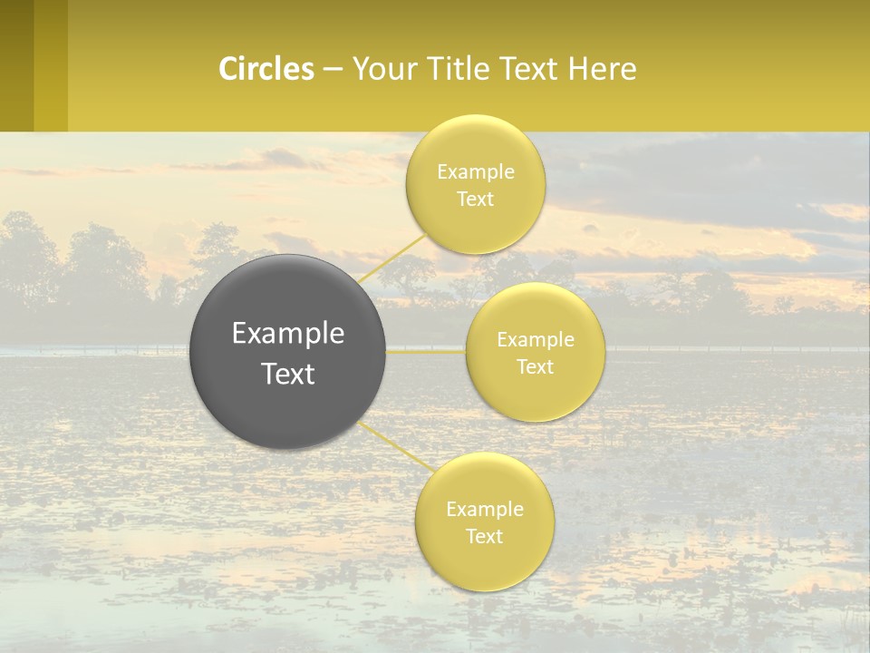 Older Sea Wellness PowerPoint Template