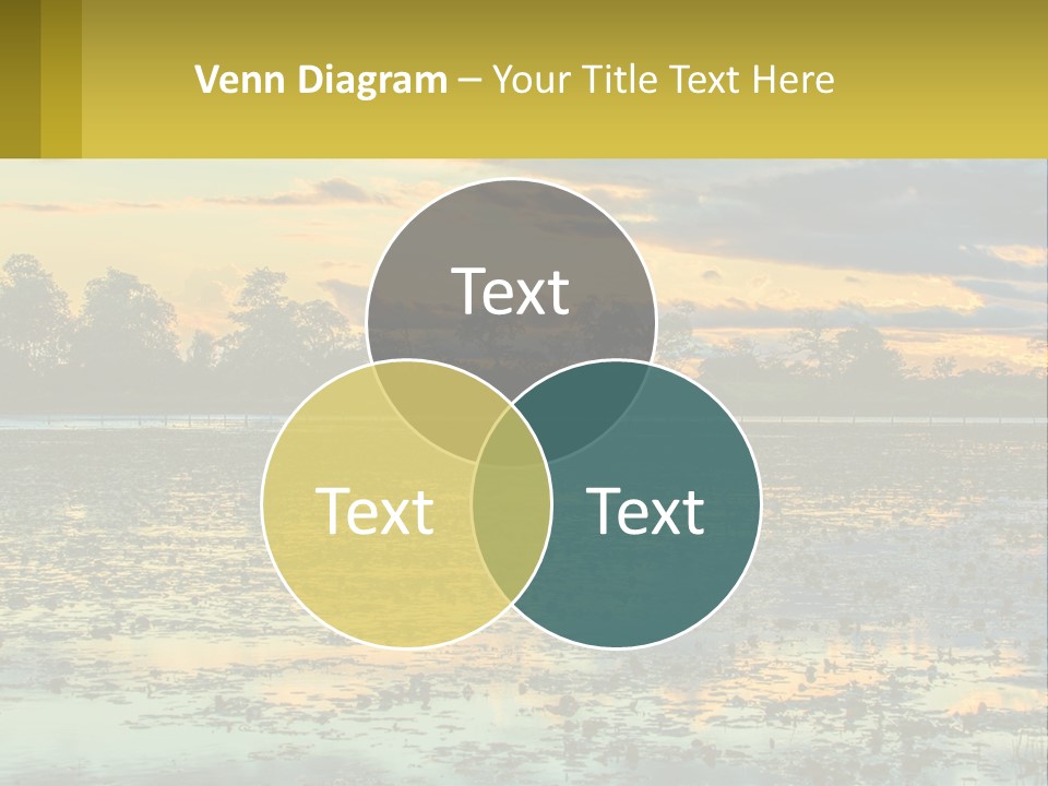 Older Sea Wellness PowerPoint Template