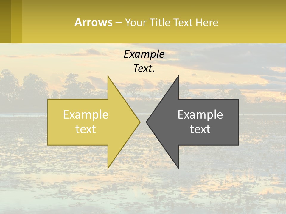 Older Sea Wellness PowerPoint Template