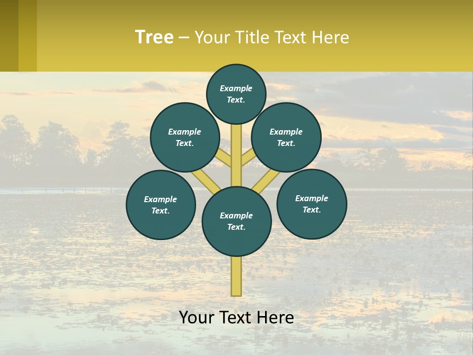 Older Sea Wellness PowerPoint Template