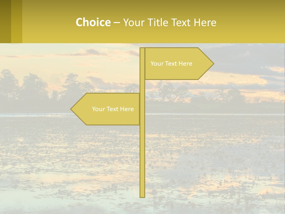 Older Sea Wellness PowerPoint Template