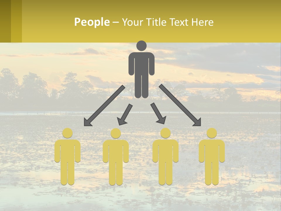 Older Sea Wellness PowerPoint Template