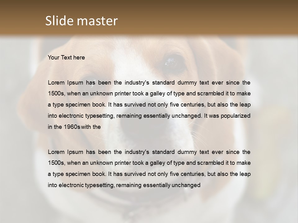 Retired Older Sunrise PowerPoint Template