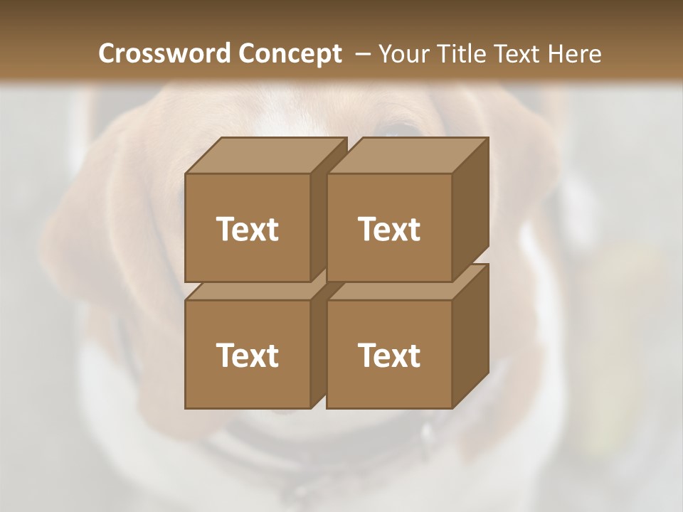 Retired Older Sunrise PowerPoint Template