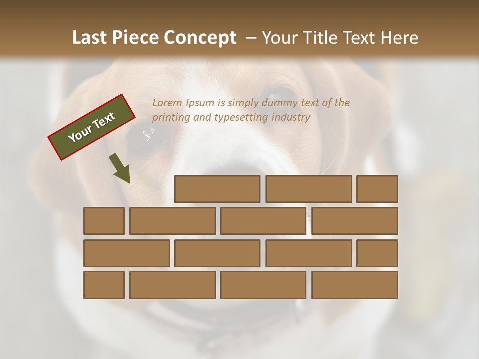 Retired Older Sunrise PowerPoint Template