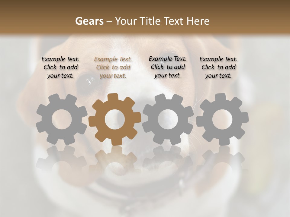 Retired Older Sunrise PowerPoint Template