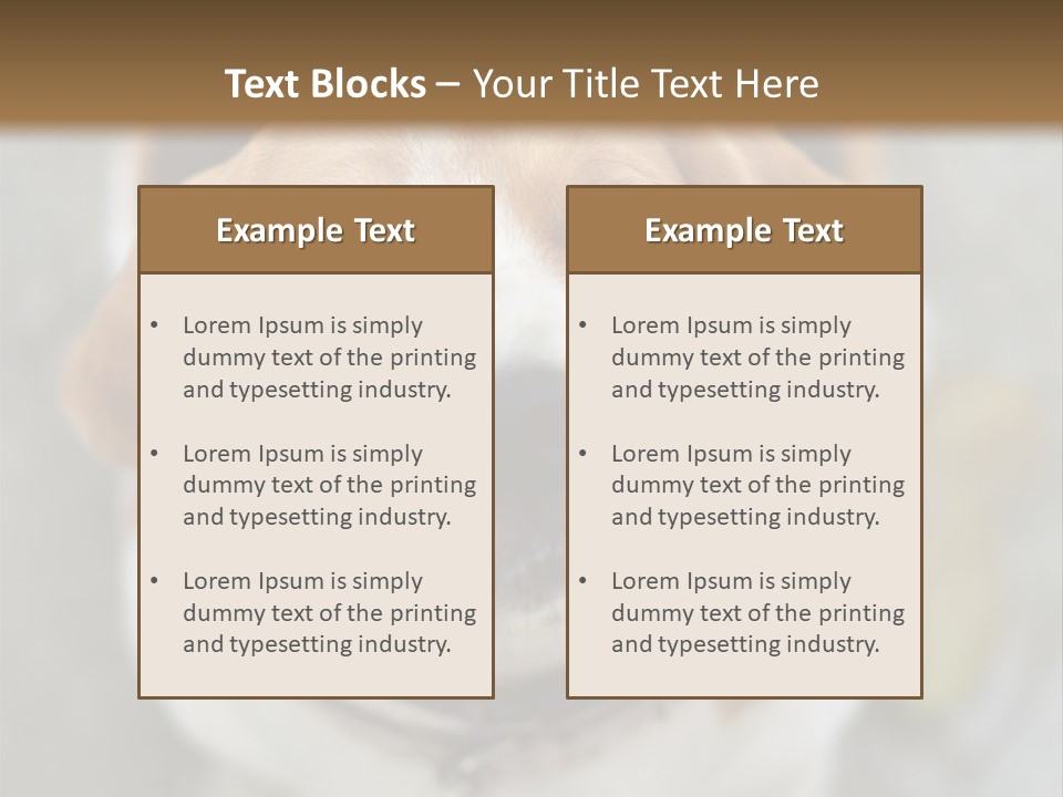 Retired Older Sunrise PowerPoint Template